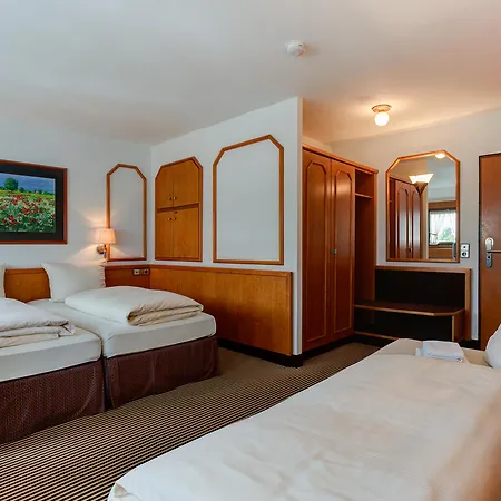 Hotel Stern By Empa 3*