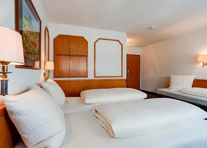 Hotel Centro Stern 3*